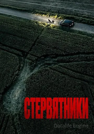 Стервятники / Rapaces (2025)