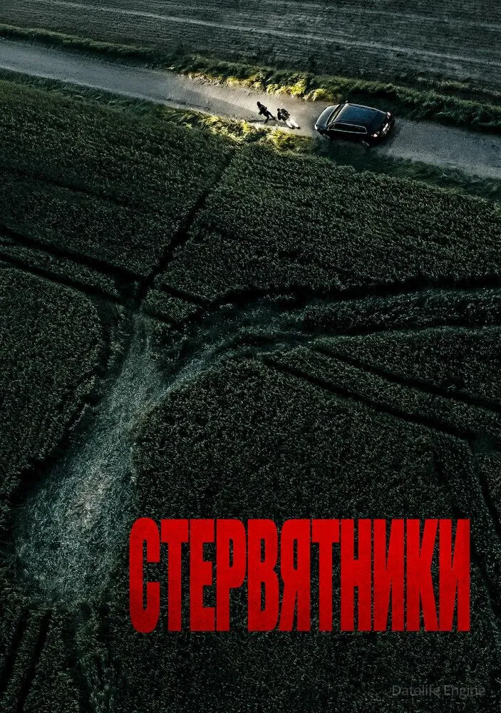 Размытый фон новости