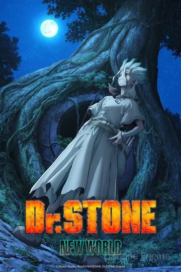 Доктор Стоун / Dr. Stone (2019)