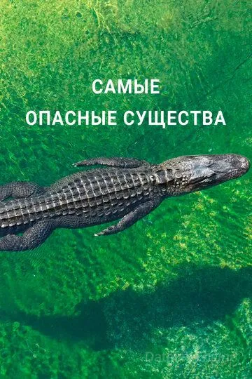 Самые опасные существа / Nature's Most Dangerous (2021)