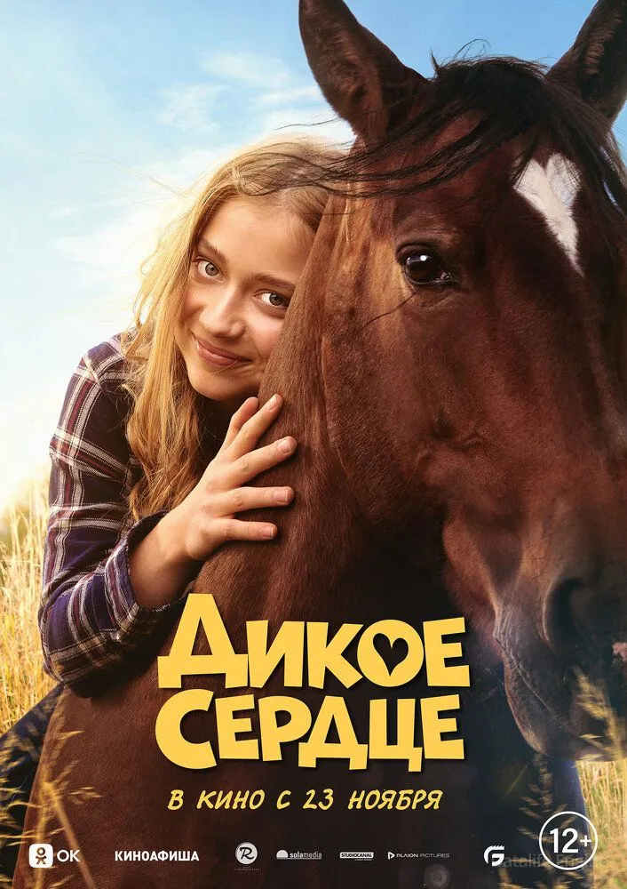 Размытый фон новости