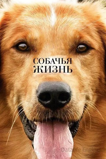 Собачья жизнь / A Dog's Purpose (2017)
