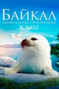 Байкал. Удивительные приключения Юмы (2020)