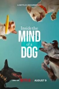 О чем думают собаки / Inside the Mind of a Dog (2024)
