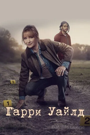 Гарри Уайлд / Harry Wild (2022)
