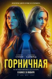Горничная / The Housemaid (2025)